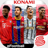 bsports官网登录
