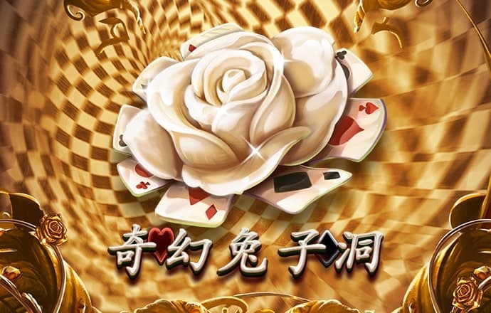 ng娱乐电子游戏官网